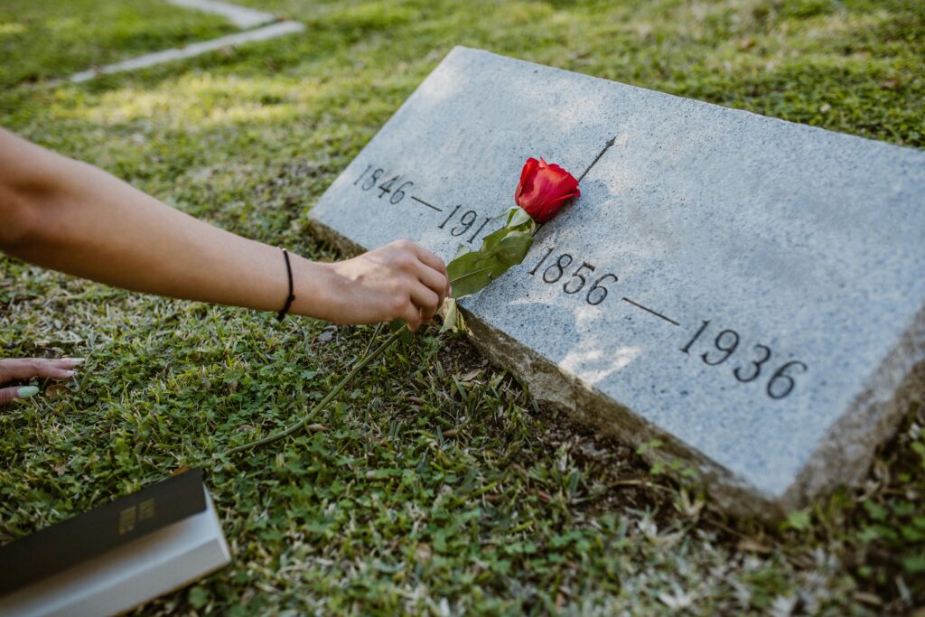 A red rose placed on a gravestone in a grassy cemetery, symbolizing remembrance and love.